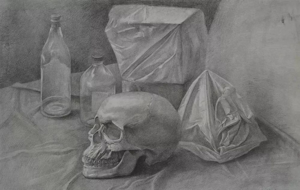 中国美术学院|中国美术学院—基础部作品赏析