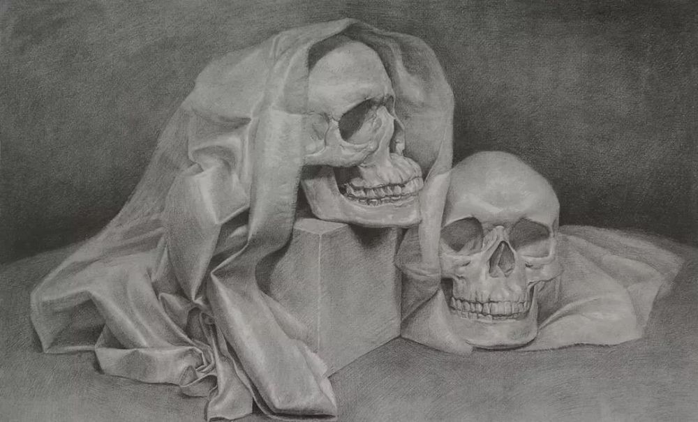 中国美术学院|中国美术学院—基础部作品赏析