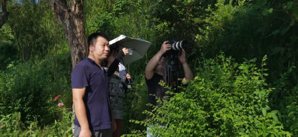 褚公祠|湖南省褚遂良書法院 書法家童志雄院長現場揮毫 旅途,或長或短