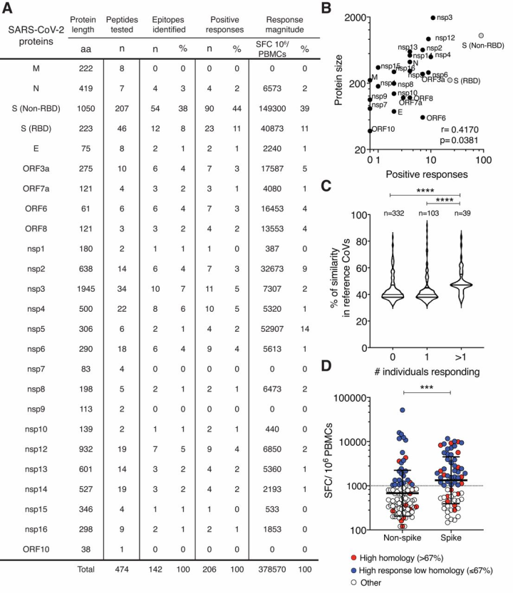 新冠病毒|Science最新研究发现：普通病毒性感冒能增加人体对新冠病毒的抵抗力