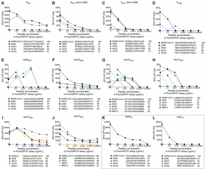 新冠病毒|Science最新研究发现：普通病毒性感冒能增加人体对新冠病毒的抵抗力