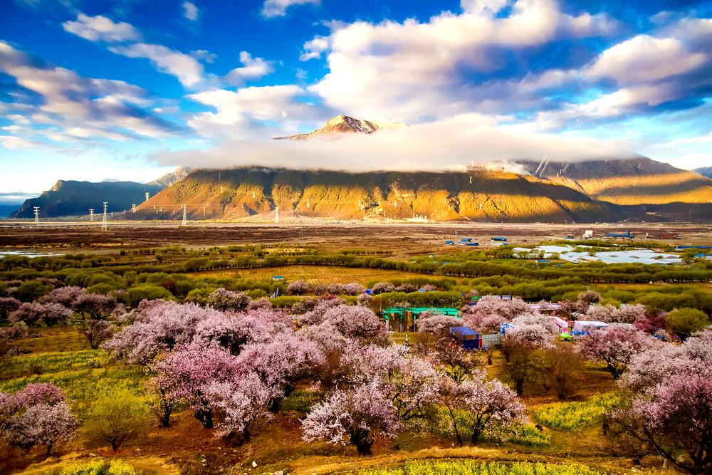 方鸿渐|一个人最大的灾难：对外人和气，对家人发脾气