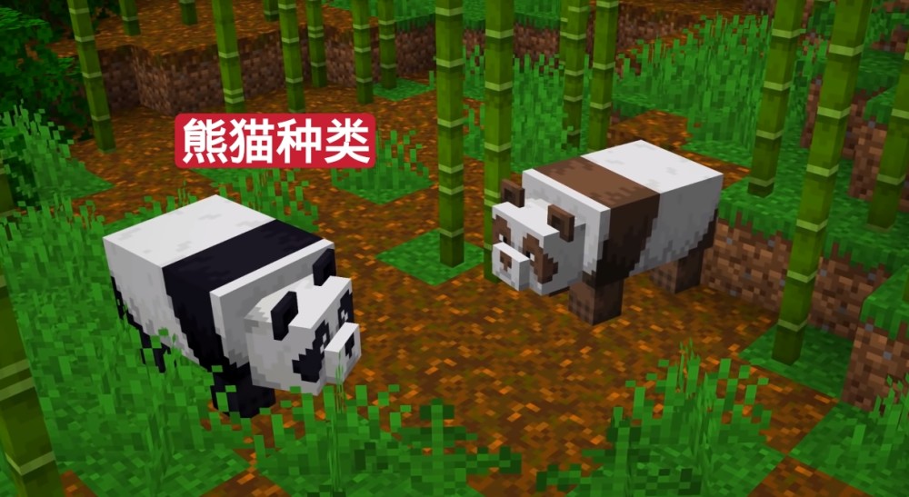 我的世界mc中熊猫为啥不被玩家欺负关于熊猫你不知道的秘密