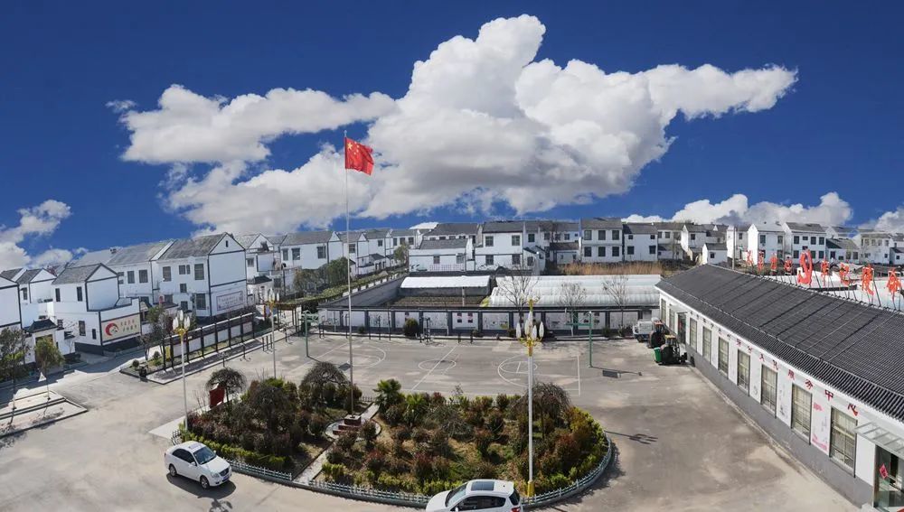 行走在棠张镇沙庄村,目之所及皆是一派"画里乡村,梦里老家"的美好景象