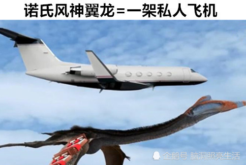 洞穴|在这个世界上，你也许不知道的9个不同事物之间的有趣比较