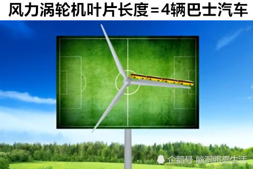 洞穴|在这个世界上，你也许不知道的9个不同事物之间的有趣比较