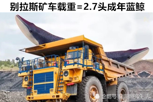 洞穴|在这个世界上，你也许不知道的9个不同事物之间的有趣比较