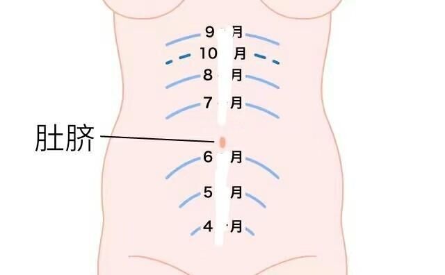 孕四个月时 胎儿在哪个位置 孕妈肯定想象不到 附胎儿发育标准 腾讯新闻