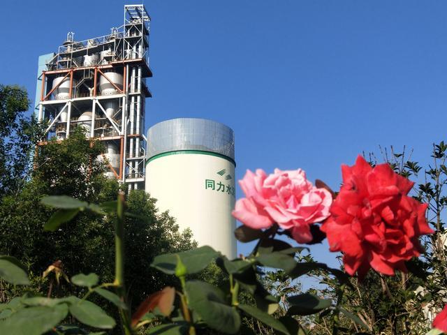 企业|立秋，水泥厂内花果竞秀