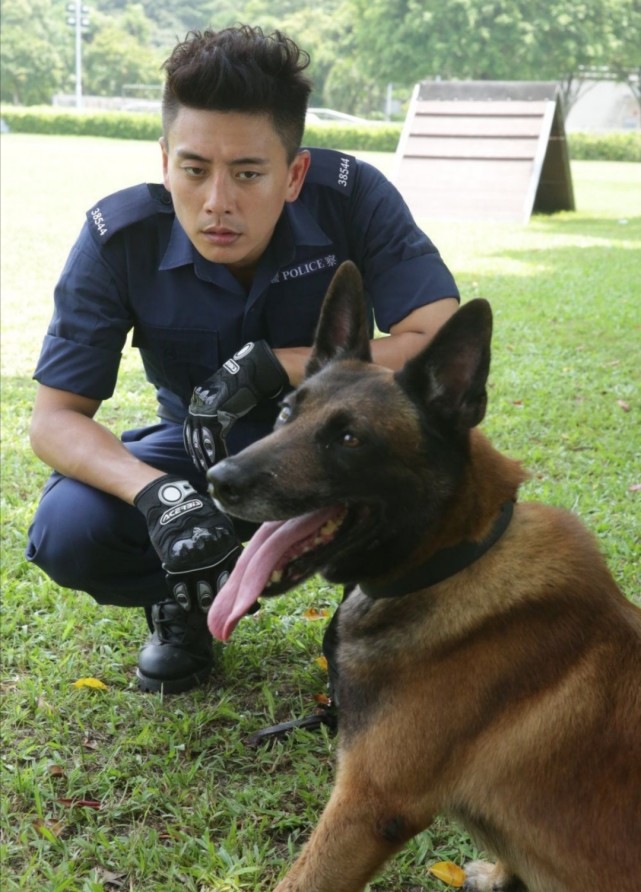 7部关于警犬神犬的电视剧,你们最喜欢哪一部?