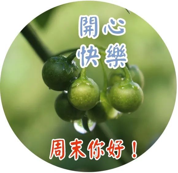 最新周末愉快带字图片图片