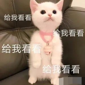 钟楚曦|钟楚曦和迪丽热巴都救不活的红毯秀得是多土？