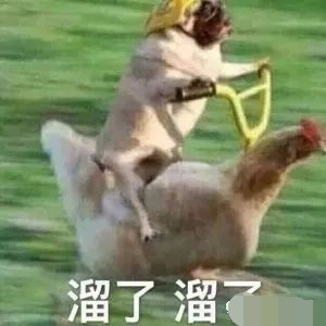 钟楚曦|钟楚曦和迪丽热巴都救不活的红毯秀得是多土？