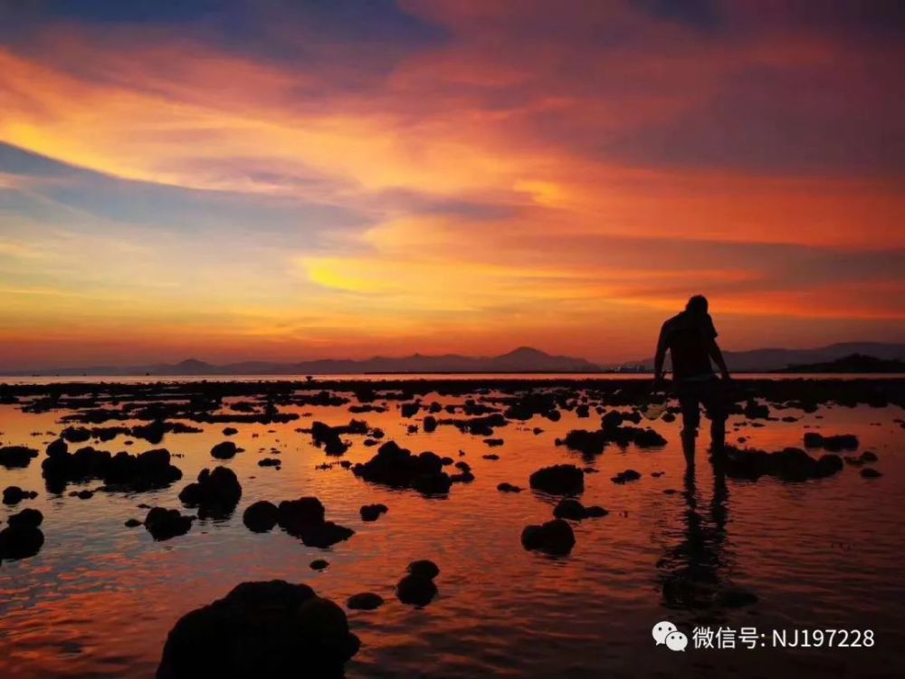 娃娃|废柴江湖一老朽、僧侣阑珊夜游生