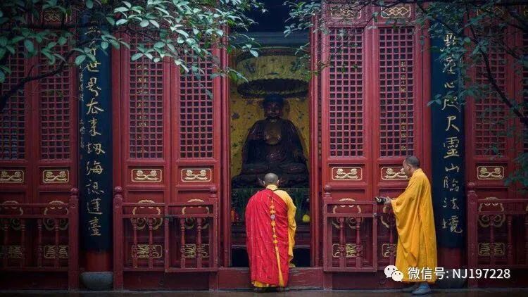 娃娃|废柴江湖一老朽、僧侣阑珊夜游生