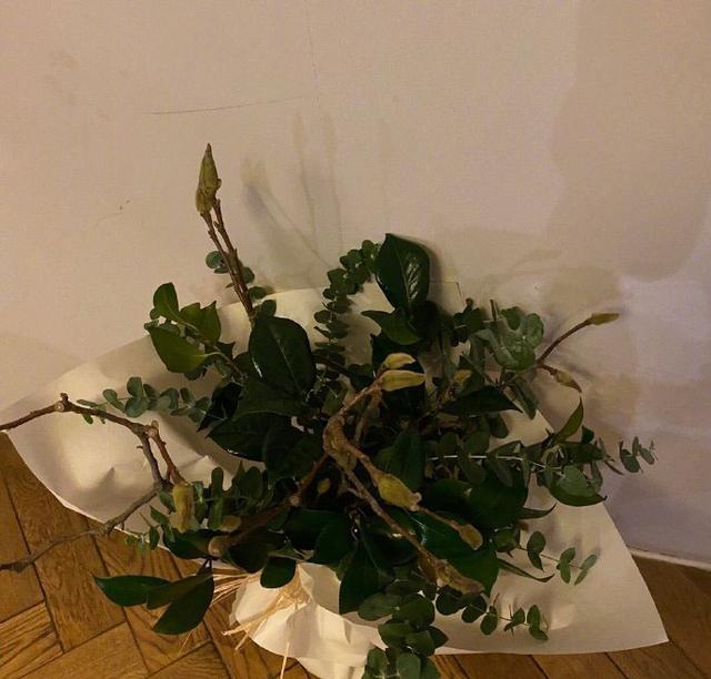 邓超送白玉兰花安慰孙俪-WordPress极简博客