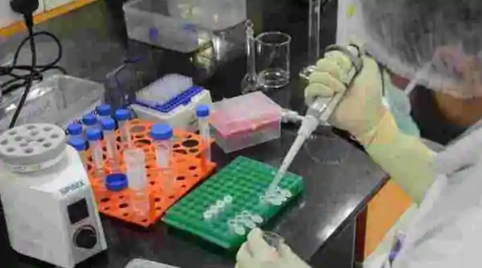 印度血清研究所|盖茨向全球最大疫苗厂提供1.5亿美元 要求新冠疫苗定价低于3美元