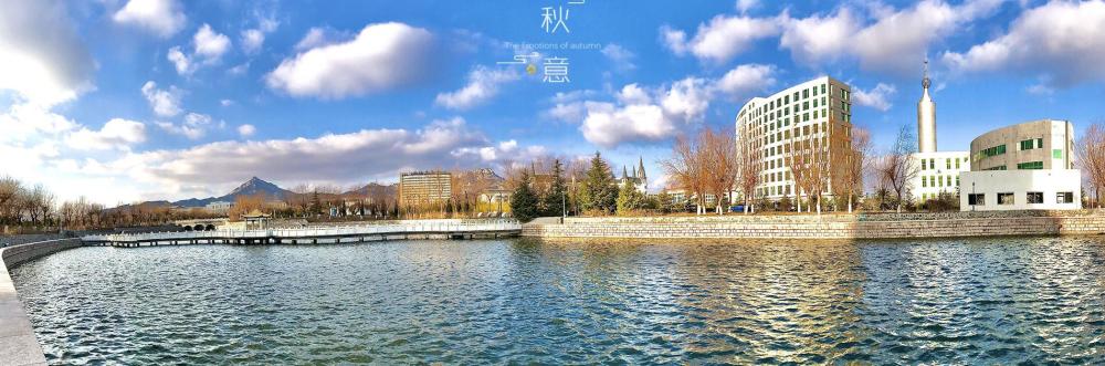 山东外事职业大排名_山东外事职业大学2020年本专科招生计划,学历教育与
