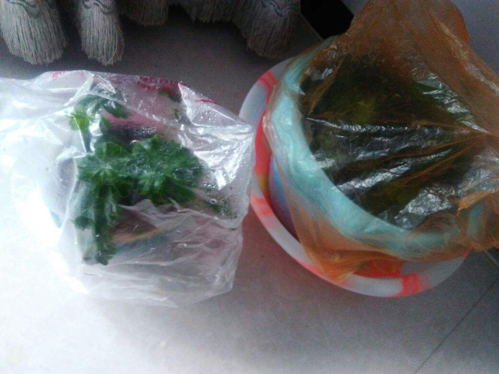 人参果遇到塑料袋会怎么样？的简单介绍