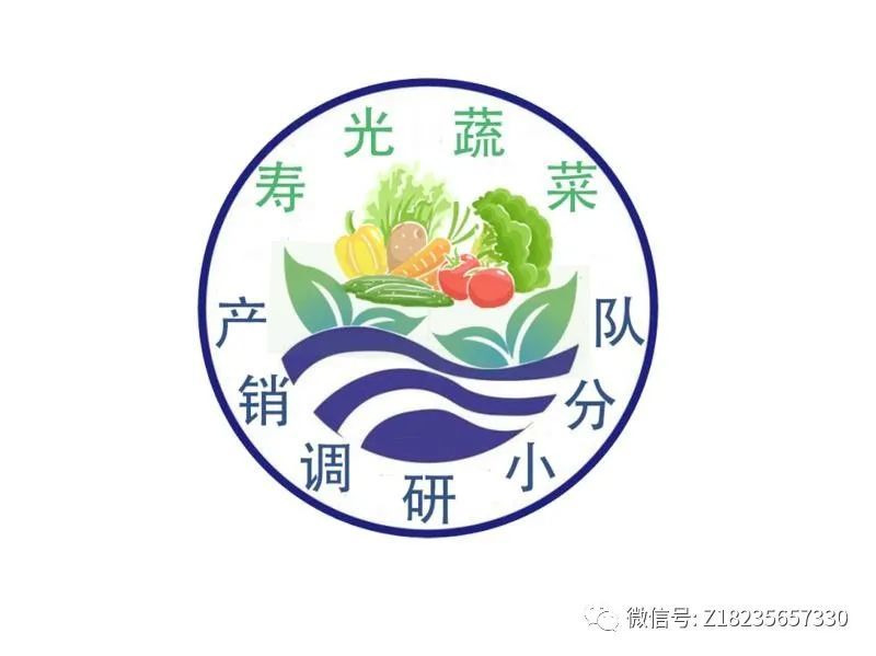 疫情背景下寿光蔬菜产销新模式的探索