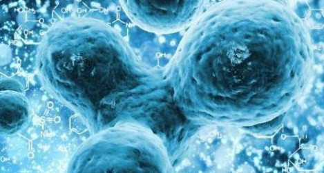 糖尿病并发症|糖尿病有救了，最新研究发现，糖尿病可逆转！