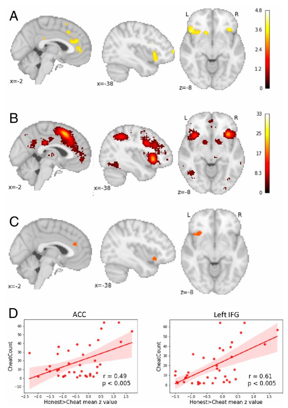 节细胞神经瘤|脑科学日报：大脑谋划作弊背后的神经机制；安慰剂效应有多强？