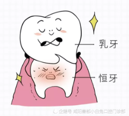 乳牙的重要性你知道吗?