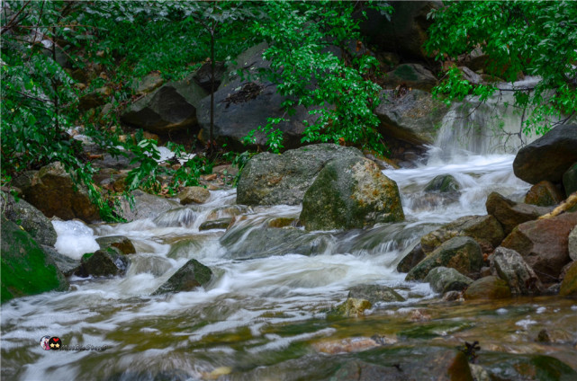 雨後沂蒙山,流水潺潺匯成壯觀飛瀑,如夢如幻似仙境!