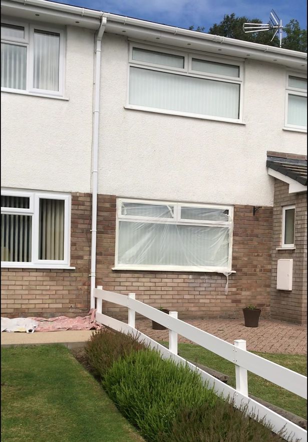 韦恩·柯林斯|英国最萌粉刷匠竟刷错8栋房子，意外走红脸书，超17万人围观