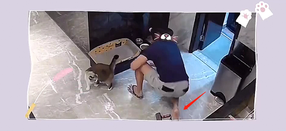 安以轩|可爱！安以轩晒娃，1岁儿子用手拿猫粮吃，富豪老公的反应太迅速