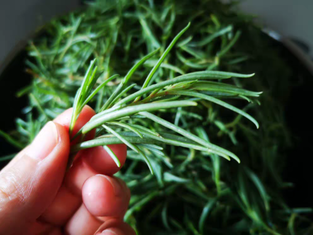 这菜别不懂吃,遇到囤10斤,一盘准时上厕所,保护肝脏,常吃肠胃好