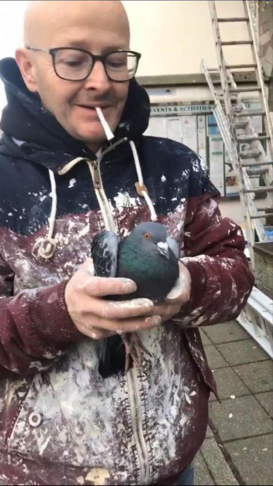 维恩·柯林斯|英国糊涂漆匠连续8次漆错房子，却未被解雇，老板：谁叫他手艺好