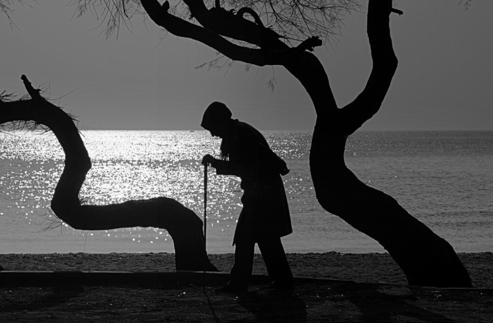 癌症|研究发现：恐龙也得了癌症！癌细胞将生物杀死，对自己有啥好处？