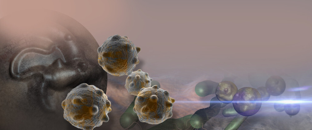 癌症|研究发现：恐龙也得了癌症！癌细胞将生物杀死，对自己有啥好处？