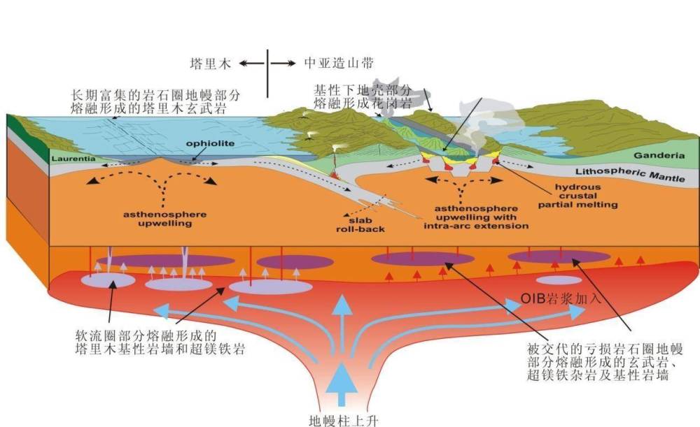 地球|为什么地球生物都无法实现“长生”，是谁对生物下的禁锢？