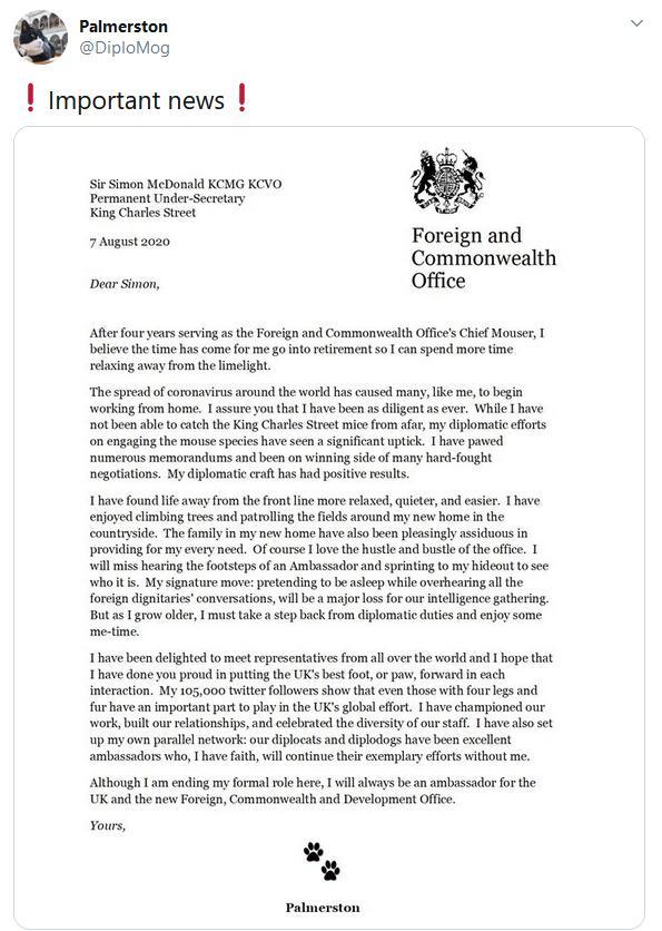 英国外交部|英国外交部首席捕鼠官Palmerston卸任退休