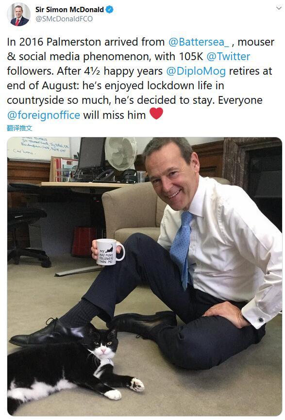 英国外交部|英国外交部首席捕鼠官Palmerston卸任退休