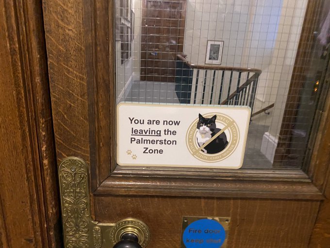 英国外交部|英国外交部首席捕鼠官Palmerston卸任退休