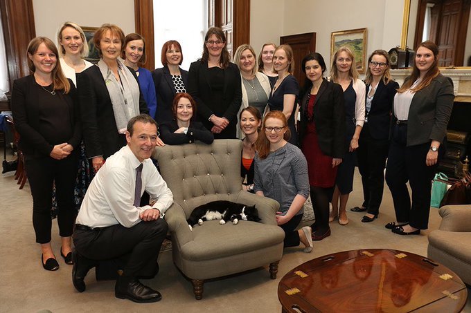 英国外交部|英国外交部首席捕鼠官Palmerston卸任退休