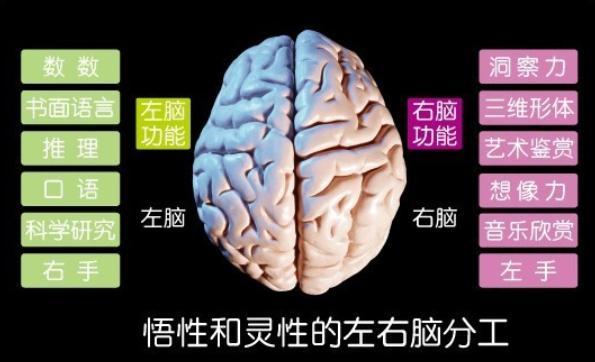 孩子有这3种表现 说明右脑很发达 好好培养将来会成为 学霸 腾讯新闻