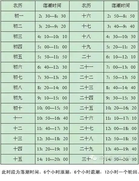 去处看海不用飞远到奉贤就够了
