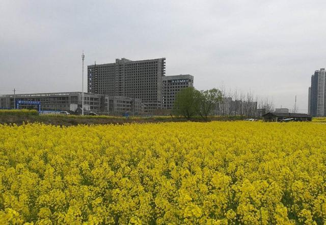 安庆2021gdp_安庆第五!2020年安徽16市GDP出炉!