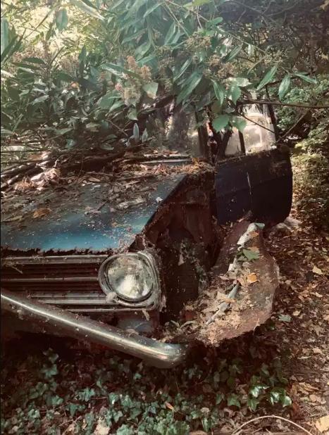 英国_社会|英国男子犯罪被捕，田园小屋被废弃数十年，现宛如鬼屋令人唏嘘