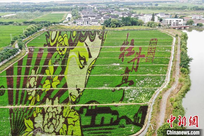 昆曲|昆曲“牡丹亭”跃然昆山张浦田间