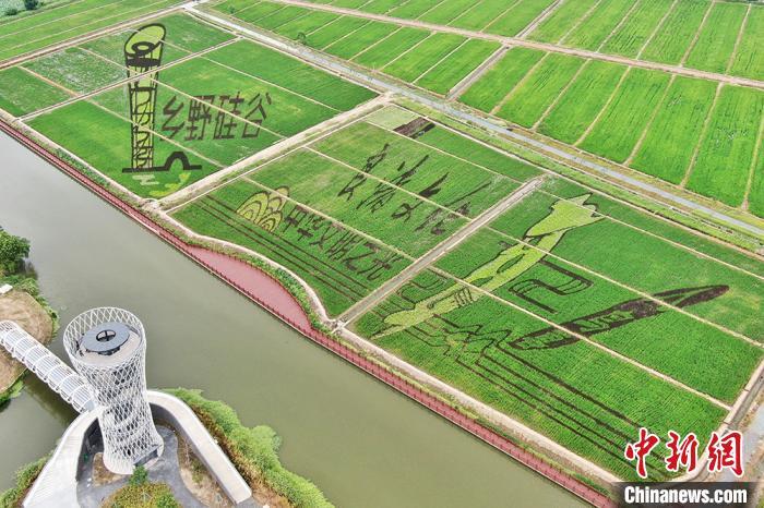 昆曲|昆曲“牡丹亭”跃然昆山张浦田间