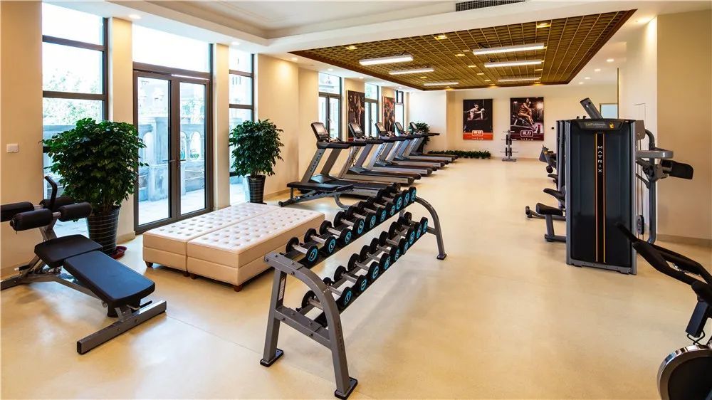 连创2项"世界之最"?深度揭秘淄博这一康养胜地