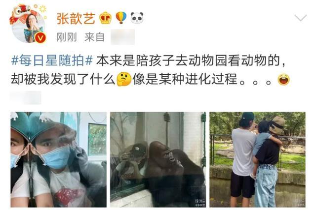 张歆艺|张歆艺一家三口陪儿子动物园游玩超温馨，袁弘搞怪和大猩猩自拍