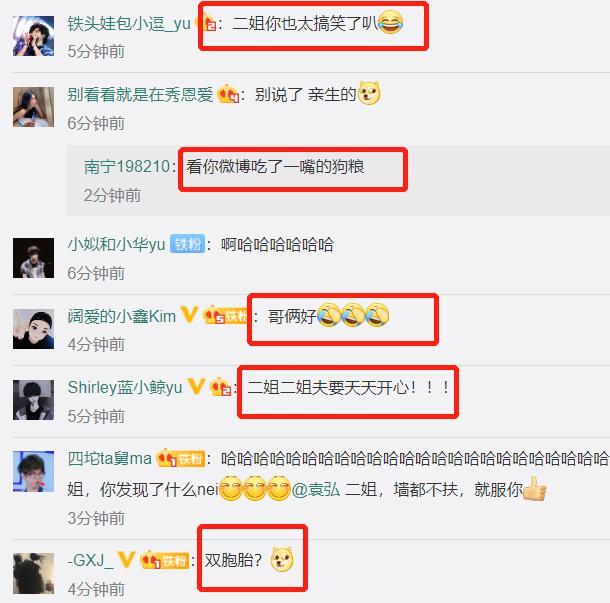 张歆艺|张歆艺一家三口陪儿子动物园游玩超温馨，袁弘搞怪和大猩猩自拍