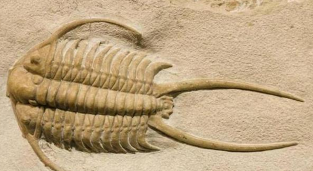 地球|人类消失后，这3样物质仍能证明人类存在，即便1亿年也不会消失