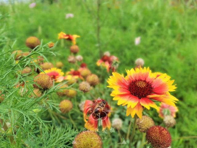 密云水库|密云水库旁隐藏着一处茅庐农庄，不仅人少还免费，京郊自驾的小众宝藏之地